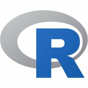 The R Foundation :rstats: